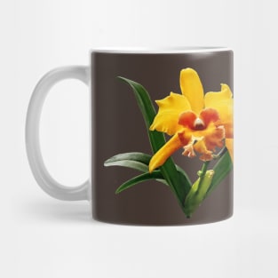 Orchids - Cattleya Orchid Orchidglade Mug